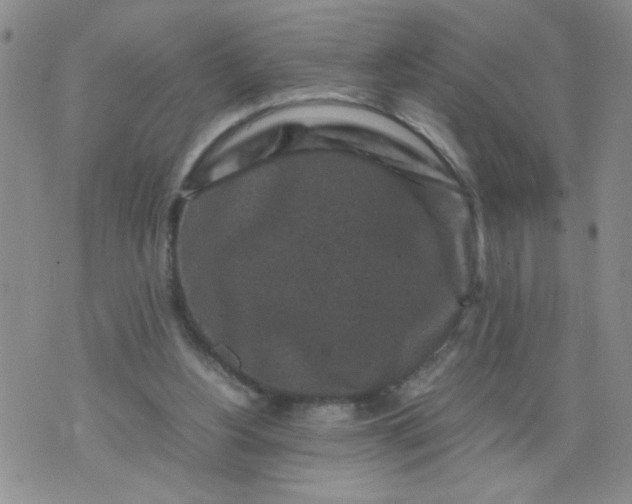 X0000070410156200606231837