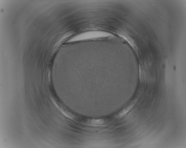 X0000070410157200606231837