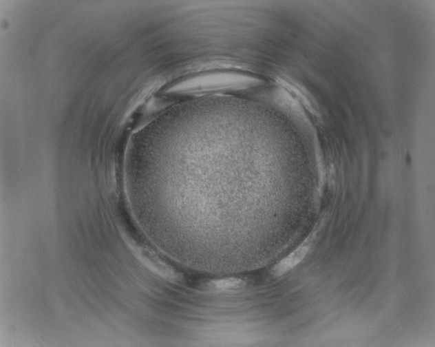 X0000070410158200606231837