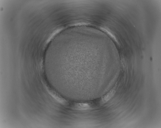 X0000070410159200606231837