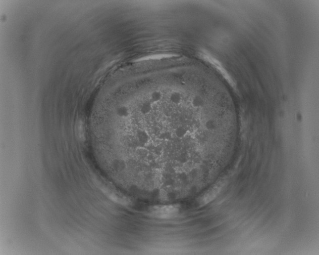 X0000070410161200606231837