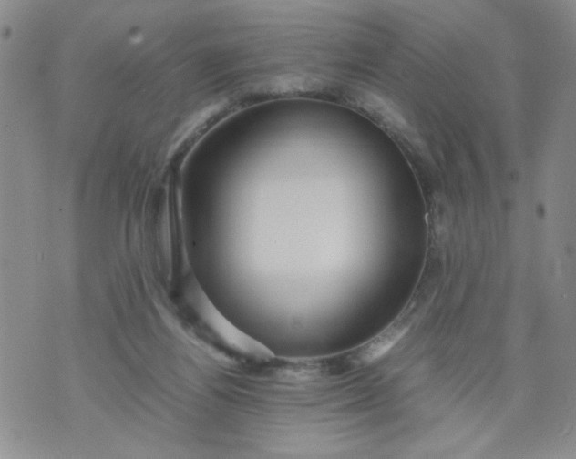 X0000070410164200606231837