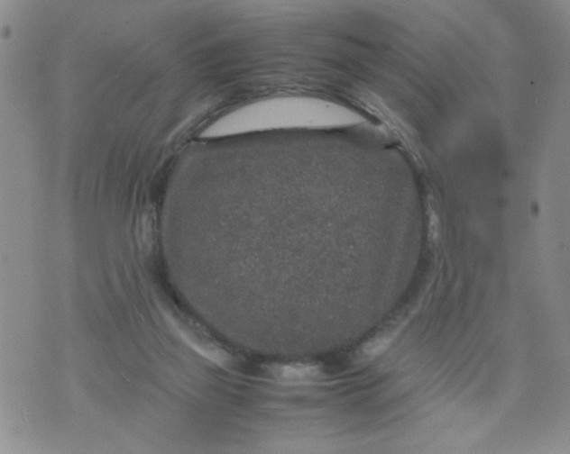 X0000070410165200606231837