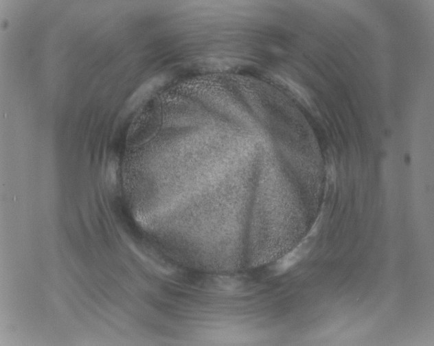 X0000070410166200606231837