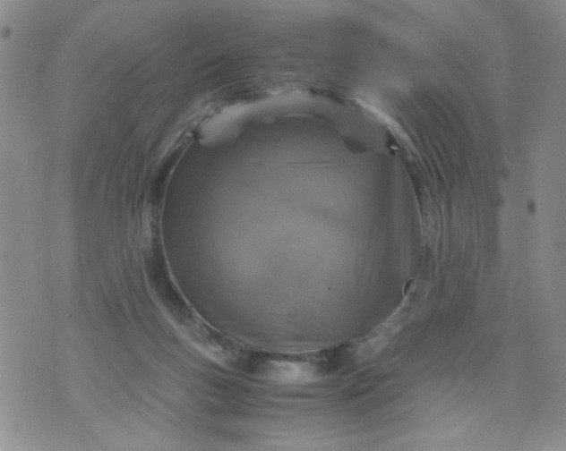 X0000070410167200606231837