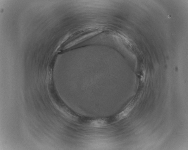 X0000070410168200606231837