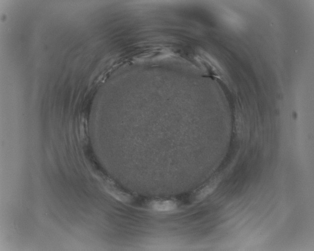 X0000070410169200606231837