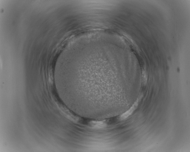 X0000070410170200606231837