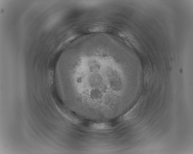 X0000070410171200606231837