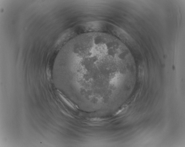 X0000070410173200606231837