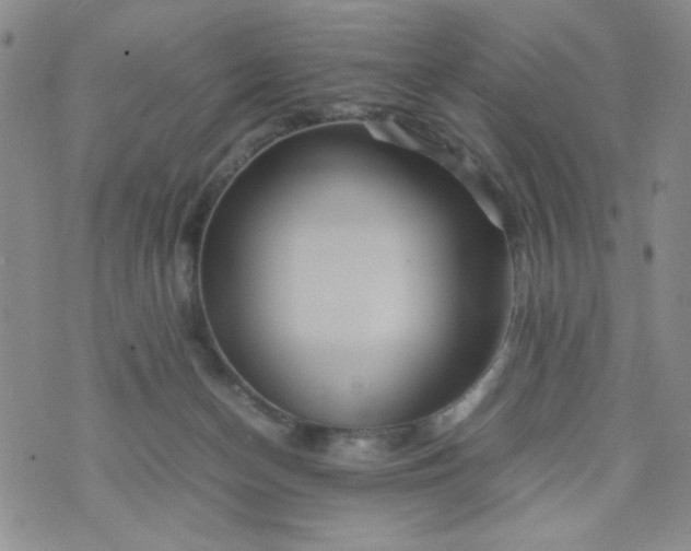 X0000070410174200606231837