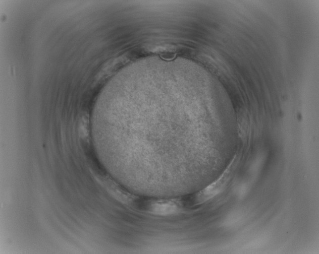 X0000070410175200606231837