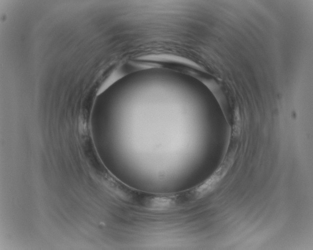 X0000070410176200606231837