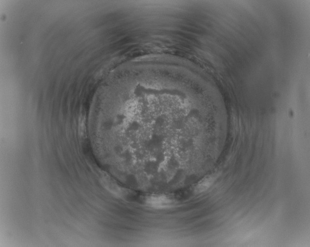 X0000070410177200606231837