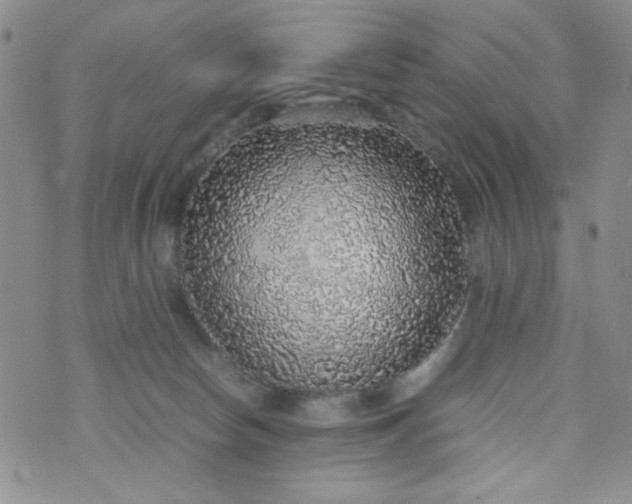 X0000070410178200606231837