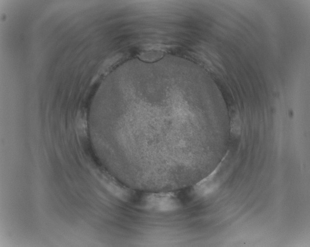 X0000070410179200606231837