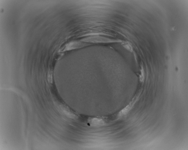 X0000070410180200606231837