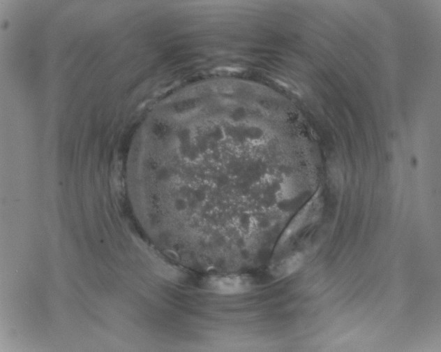 X0000070410181200606231837