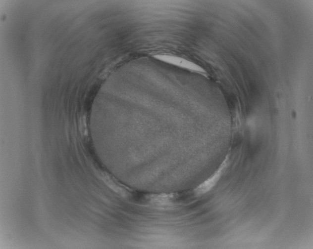 X0000070410182200606231837