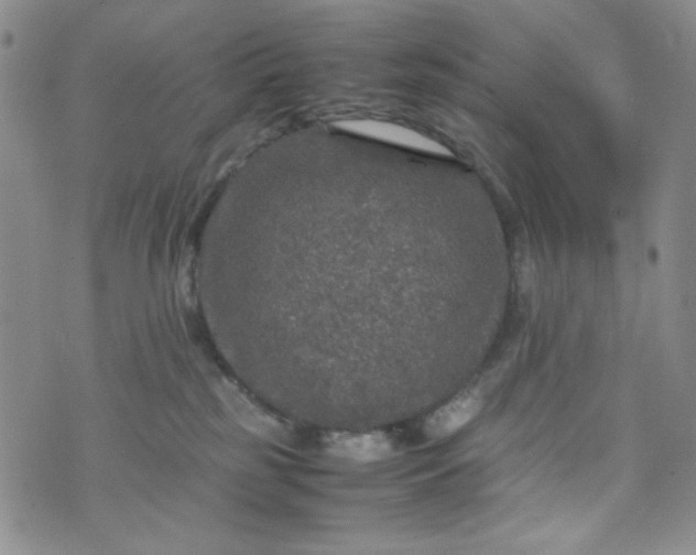 X0000070410185200606231837