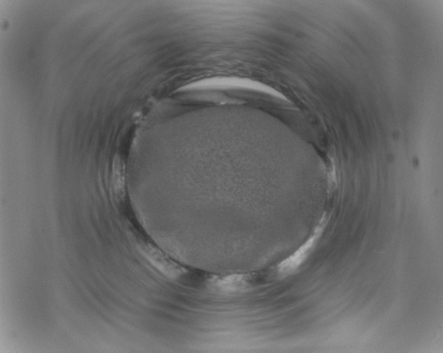 X0000070410186200606231837