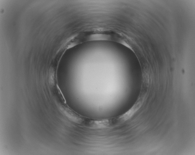 X0000070410188200606231837