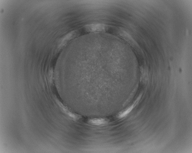 X0000070410189200606231837