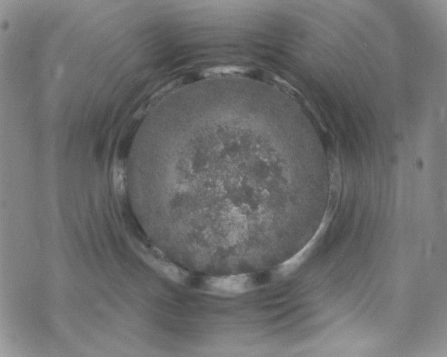 X0000070410191200606231837