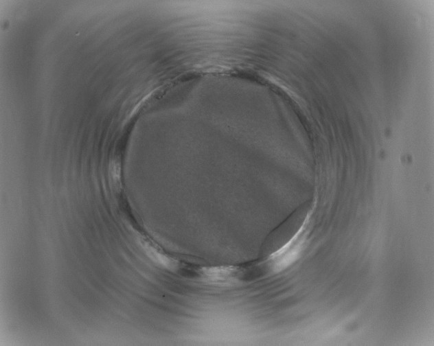 X0000070410192200606231837