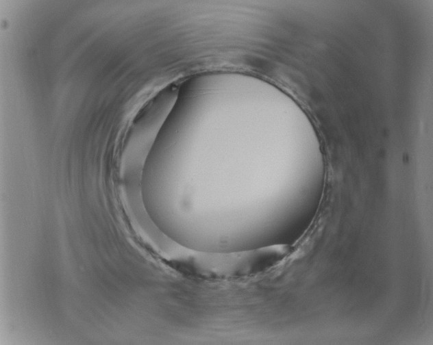 X0000070410193200606231836