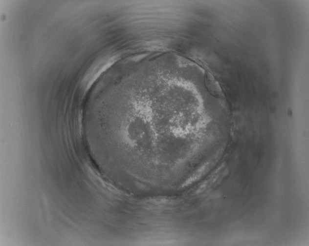 X0000070410194200606231836