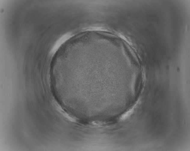 X0000070410199200606231836