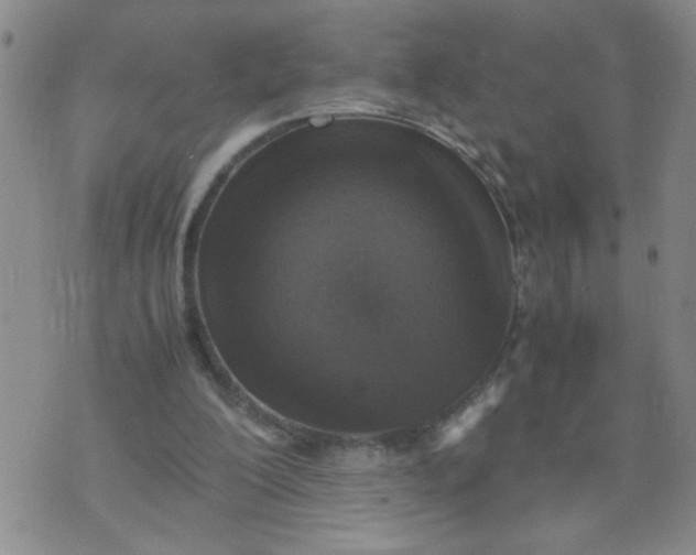 X0000070410200200606231836