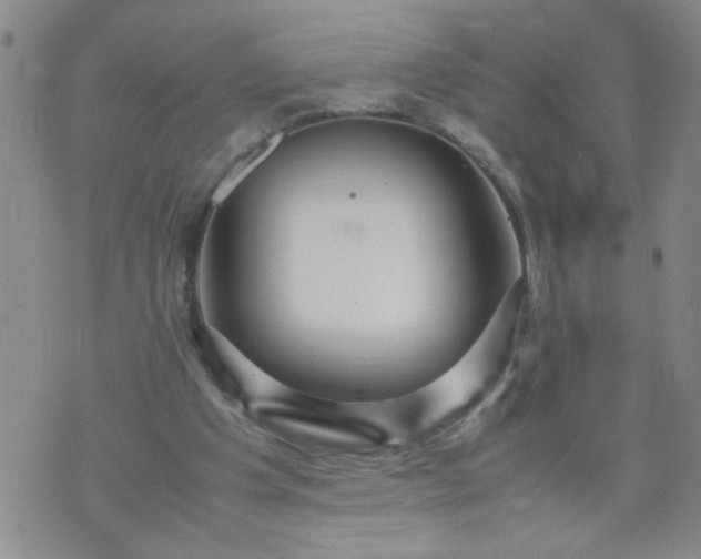 X0000070410201200606231836