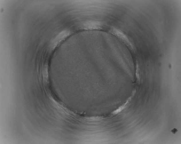 X0000070410202200606231836