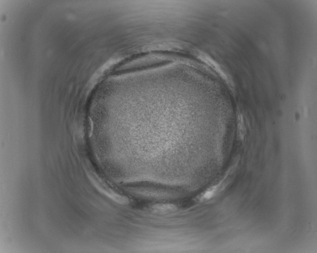 X0000070410203200606231836