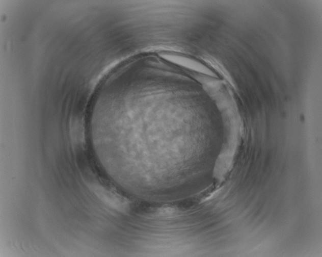 X0000070410204200606231836