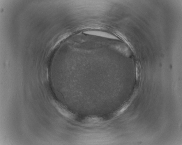 X0000070410205200606231836