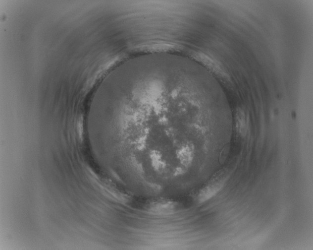 X0000070410206200606231836