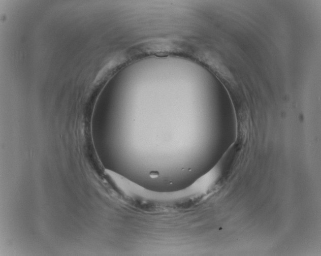 X0000070410207200606231836