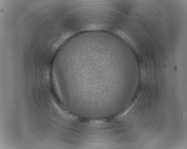 X0000070410208200606231836