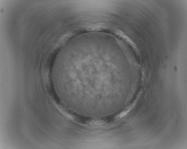 X0000070410209200606231836