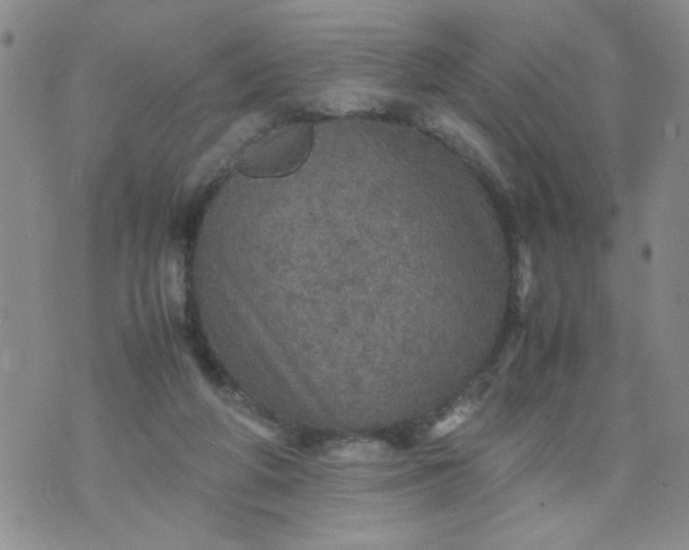 X0000070410210200606231836