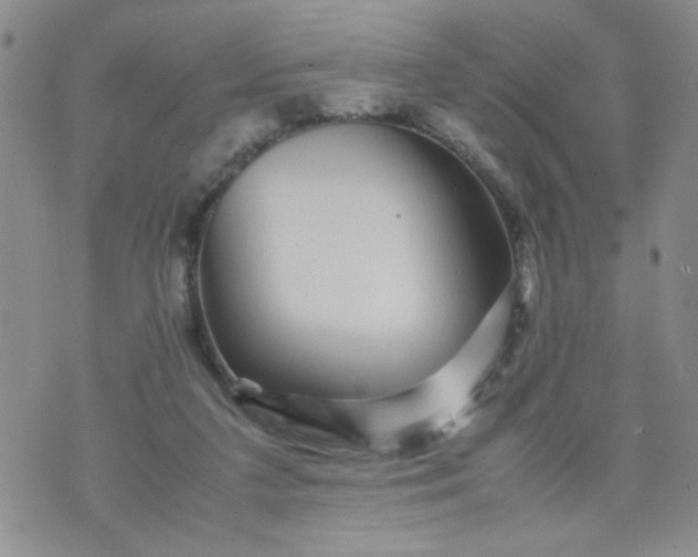 X0000070410211200606231836