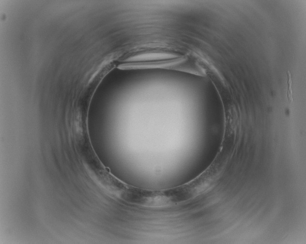 X0000070410212200606231836