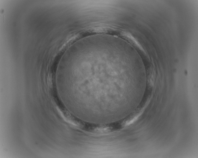 X0000070410213200606231836