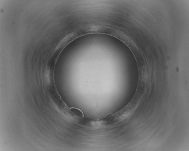 X0000070410216200606231836