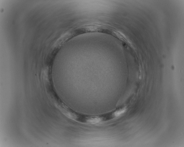 X0000070410217200606231836