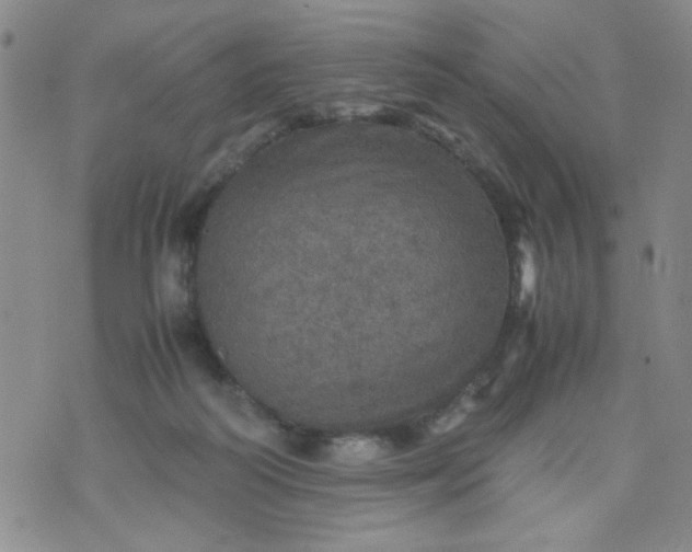 X0000070410218200606231836