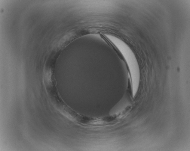 X0000070410219200606231836